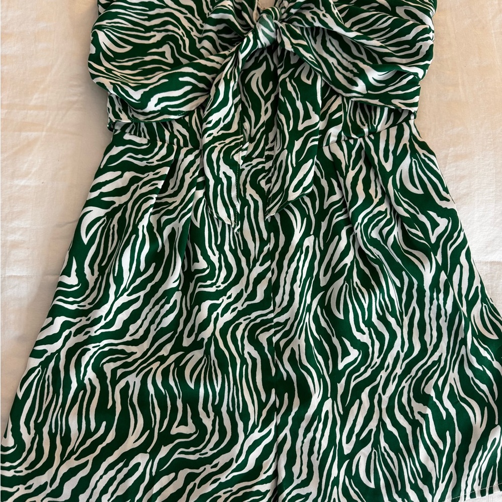 Revolution Green and White Zebra Print Dress